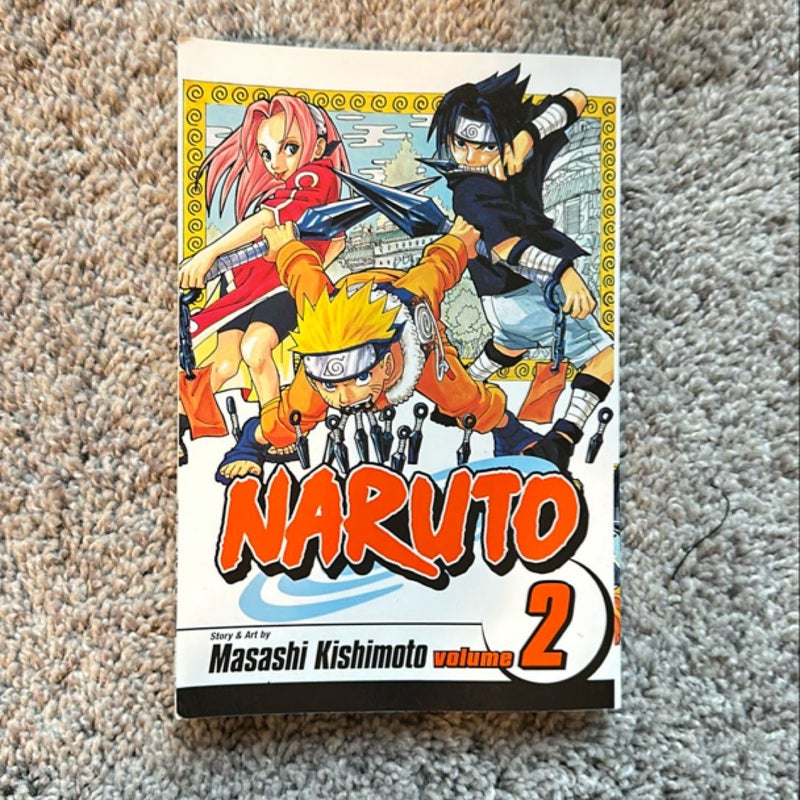 Naruto, Vol. 2