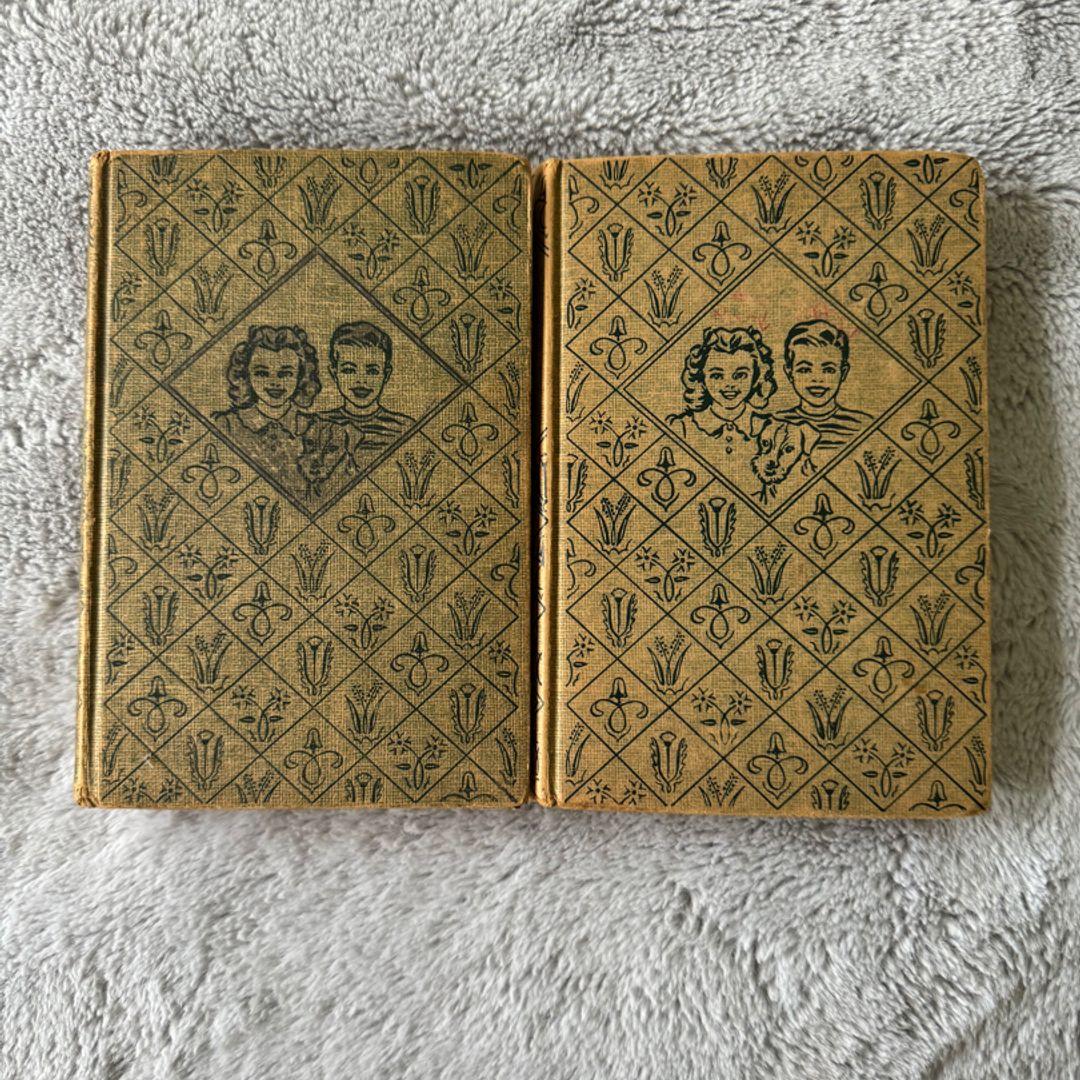 2 VINTAGE The Bobsey Twins