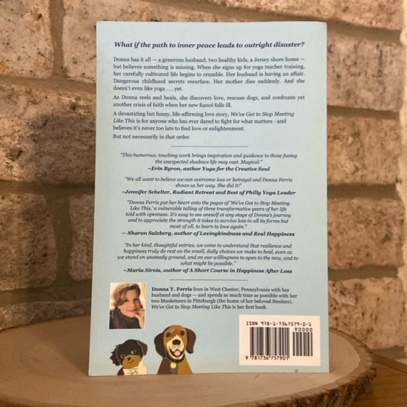 We’ve Got To Stop Meeting Like This 