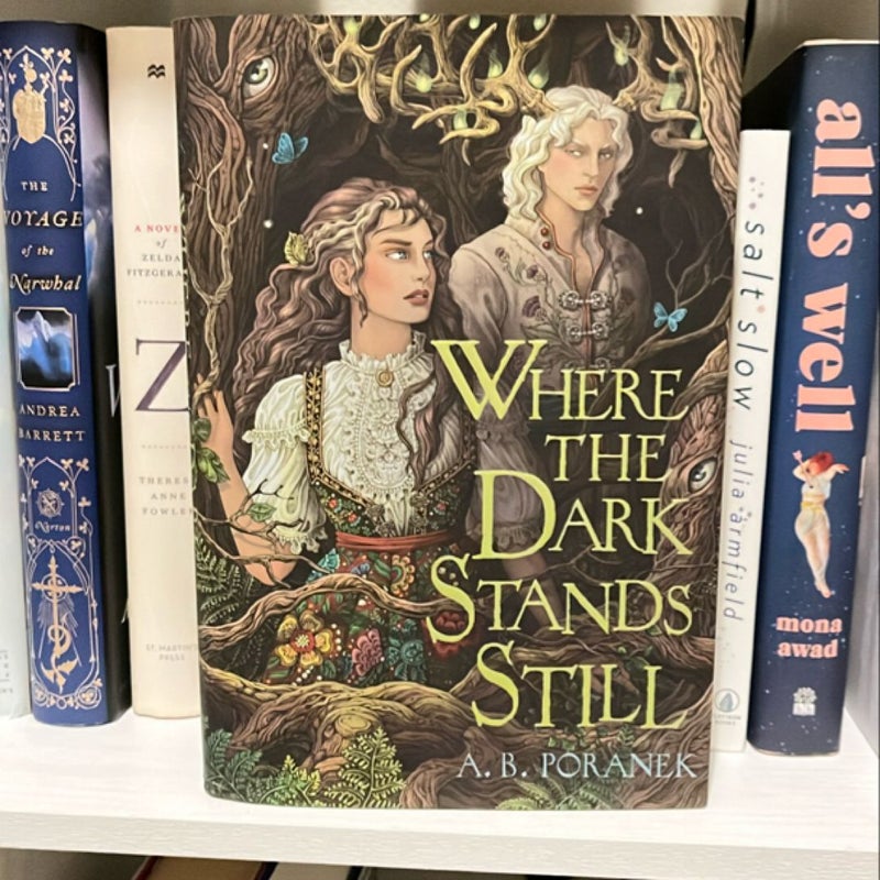 Where the Dark Stands Still