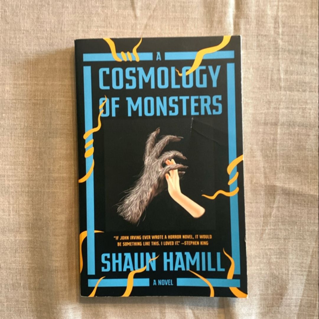 A Cosmology of Monsters