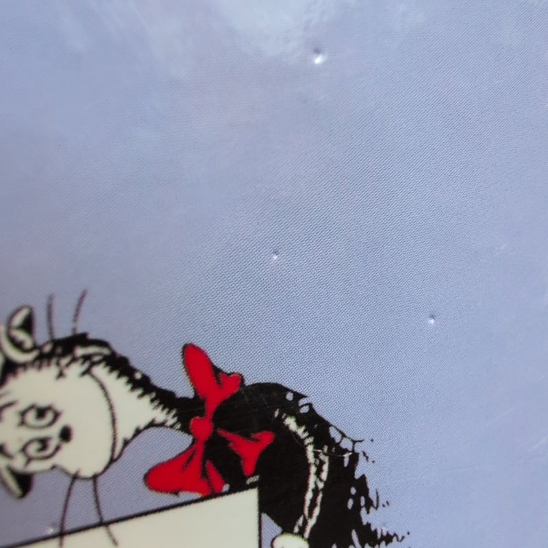 Berenstains' A Book (1997)