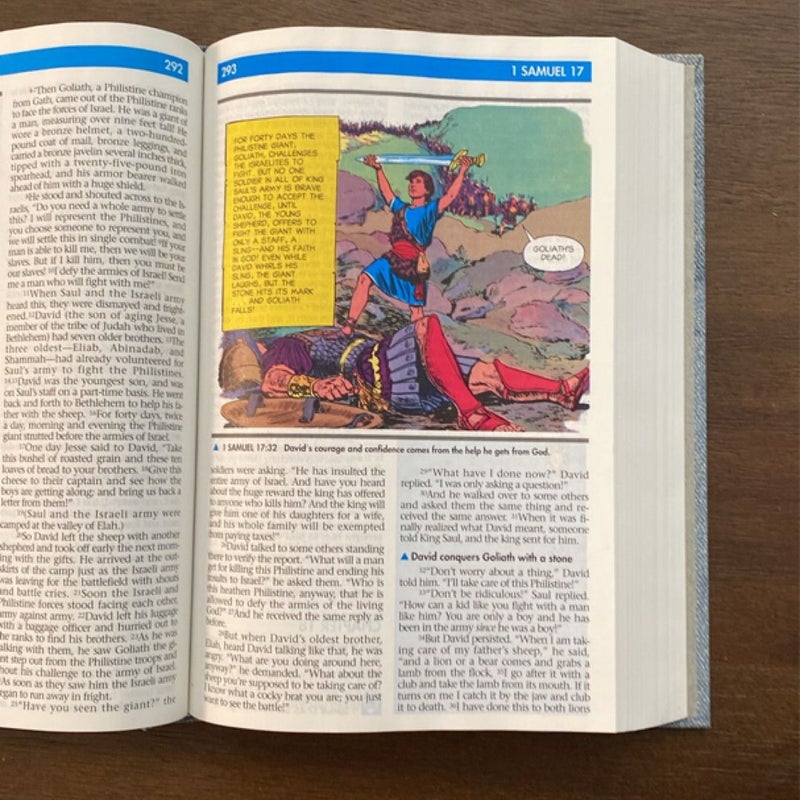 The Illustrated Holy Bible Living Values Edition