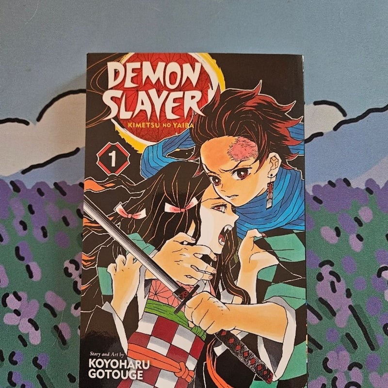 Demon Slayer: Kimetsu No Yaiba, Vol. 1