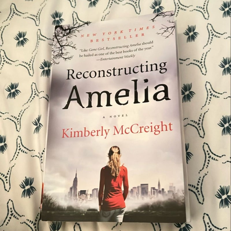 Reconstructing Amelia