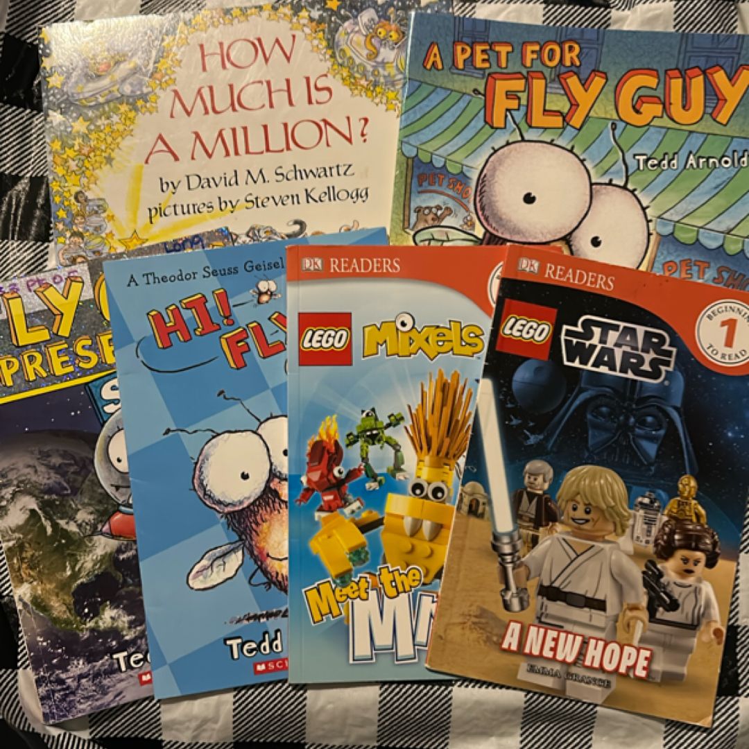 Fly Guy, Lego and Others Bundle