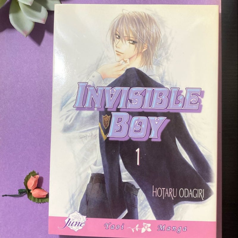 Invisible Boy