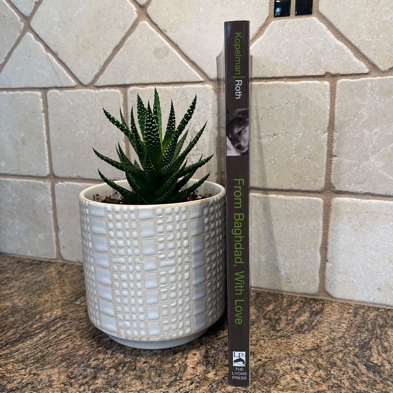 From Baghdad, with Love