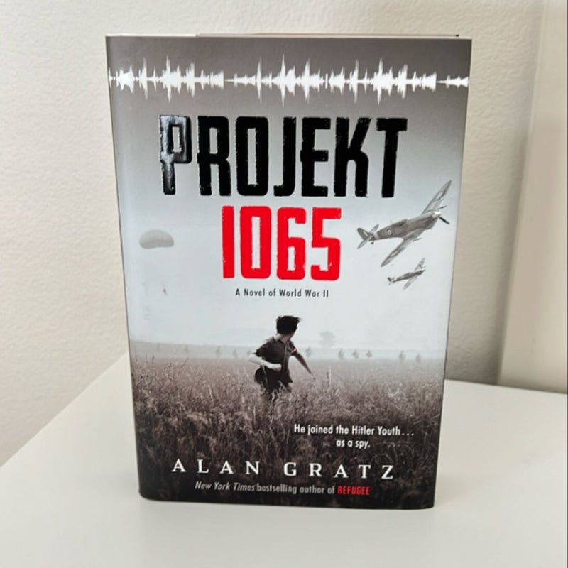 Projekt 1065