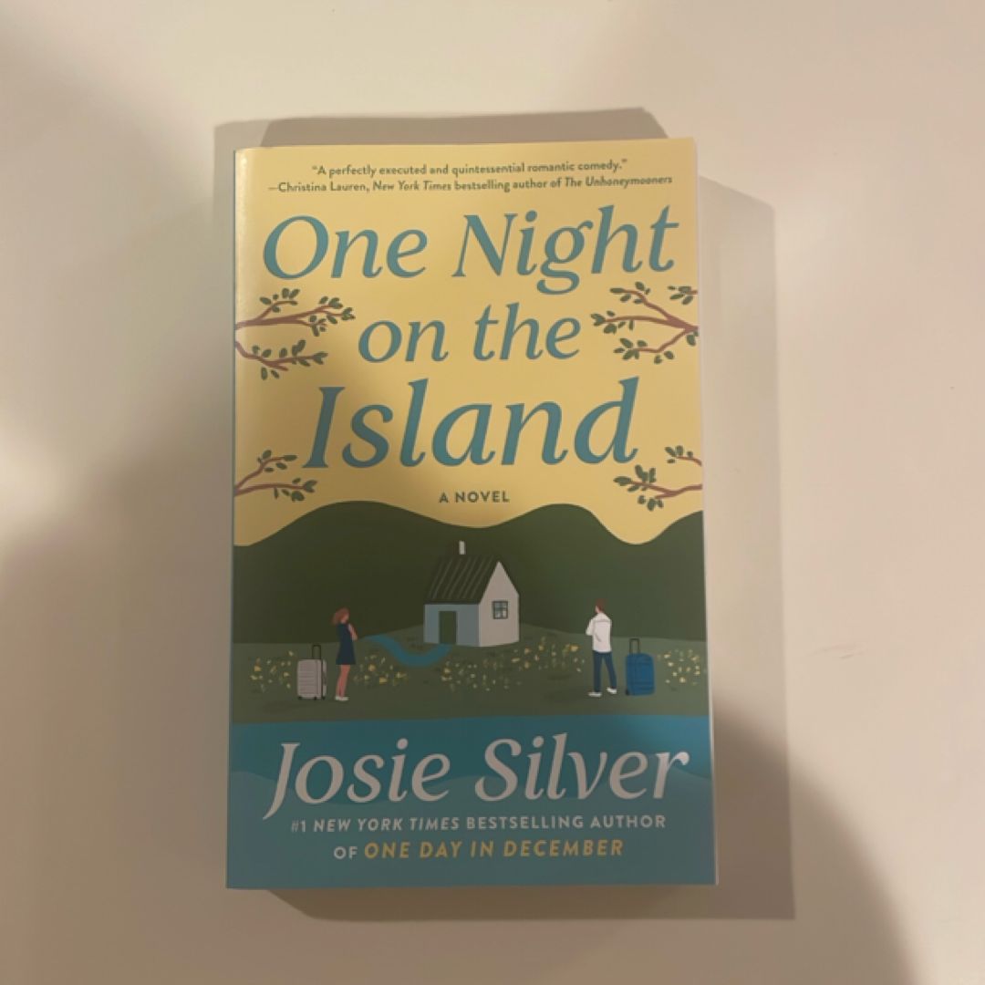 One Night on the Island