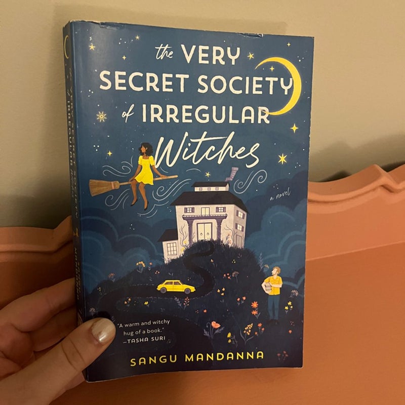 The Secret Society of Irregular Witches