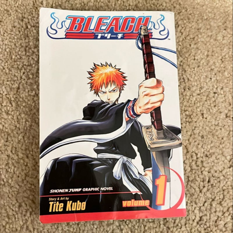 Bleach, Vol. 1