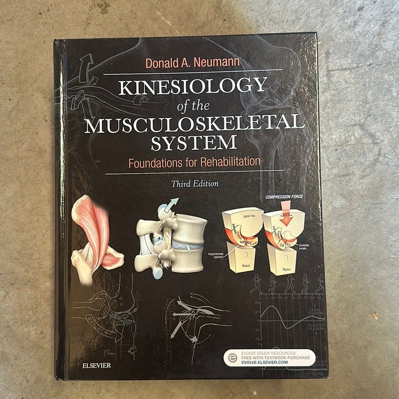Kinesiology of the Musculoskeletal System