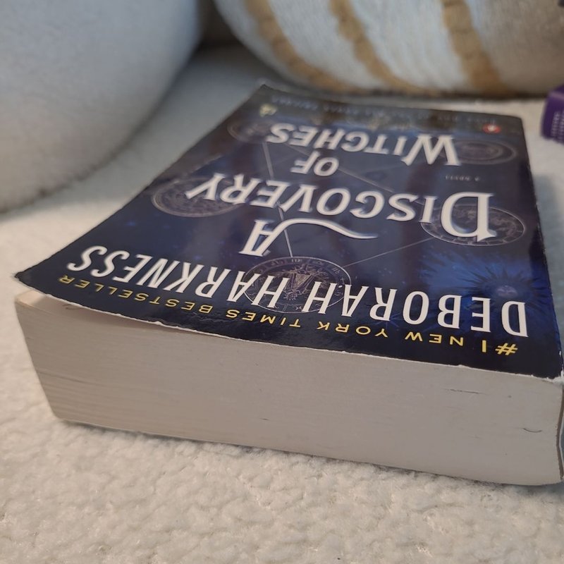 A Discovery of Witches