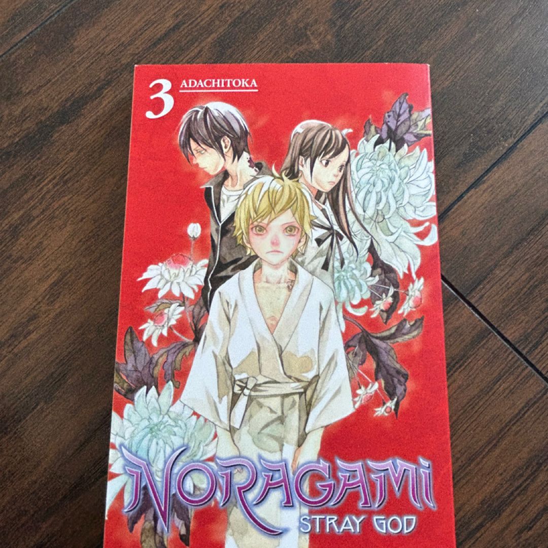 Noragami: Stray God 3