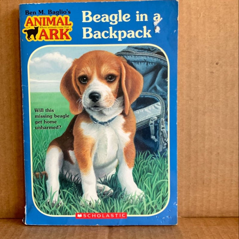 Beagle in a Backpack