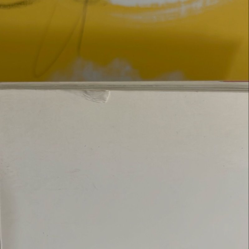 The History of Japanese Photography