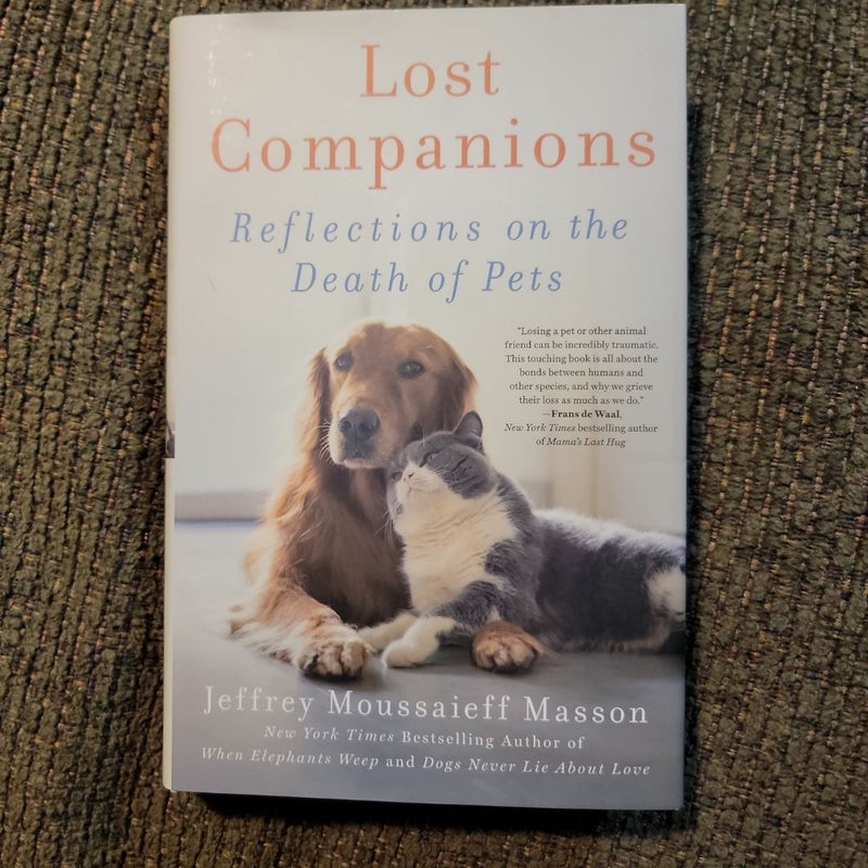 Lost Companions