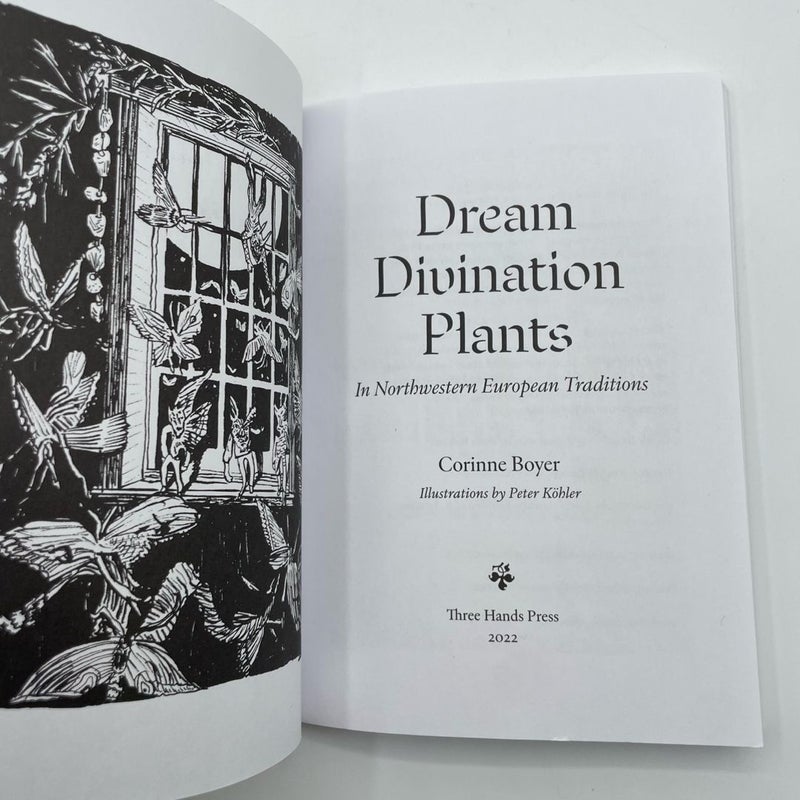 Dream Divination Plants