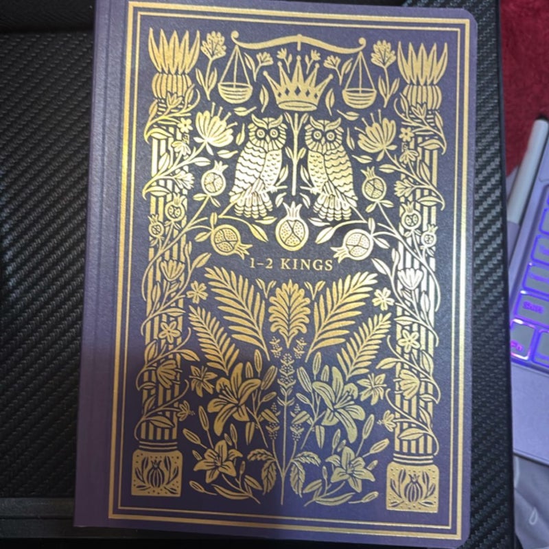 ESV Illuminated Scripture 