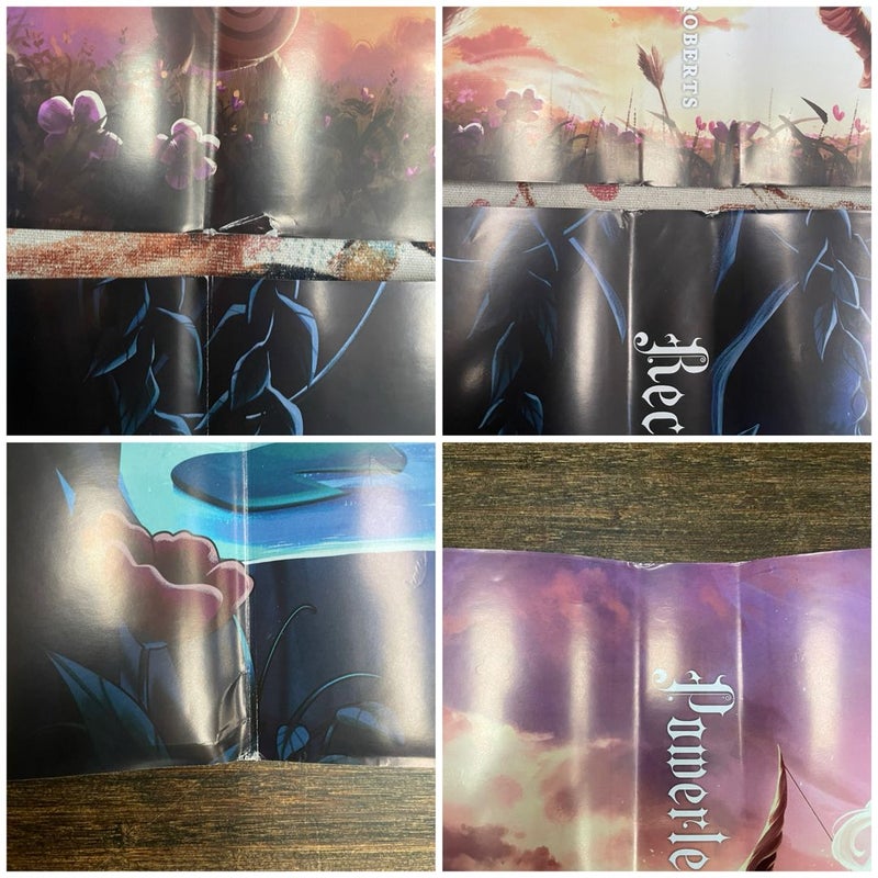Waterstones Deluxe Editions of Powerless & Reckless by Lauren Roberts