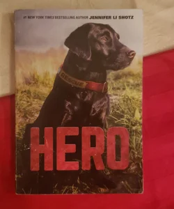 Hero (paperback)