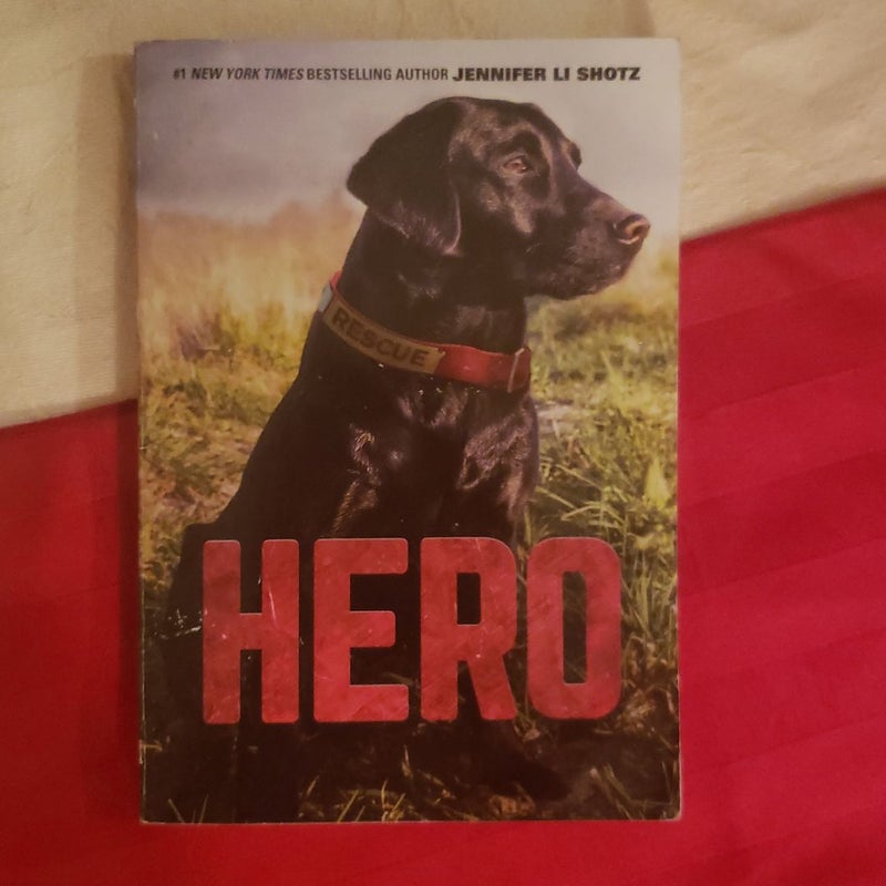 Hero (paperback)