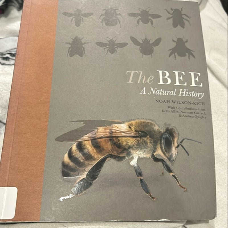 The Bee