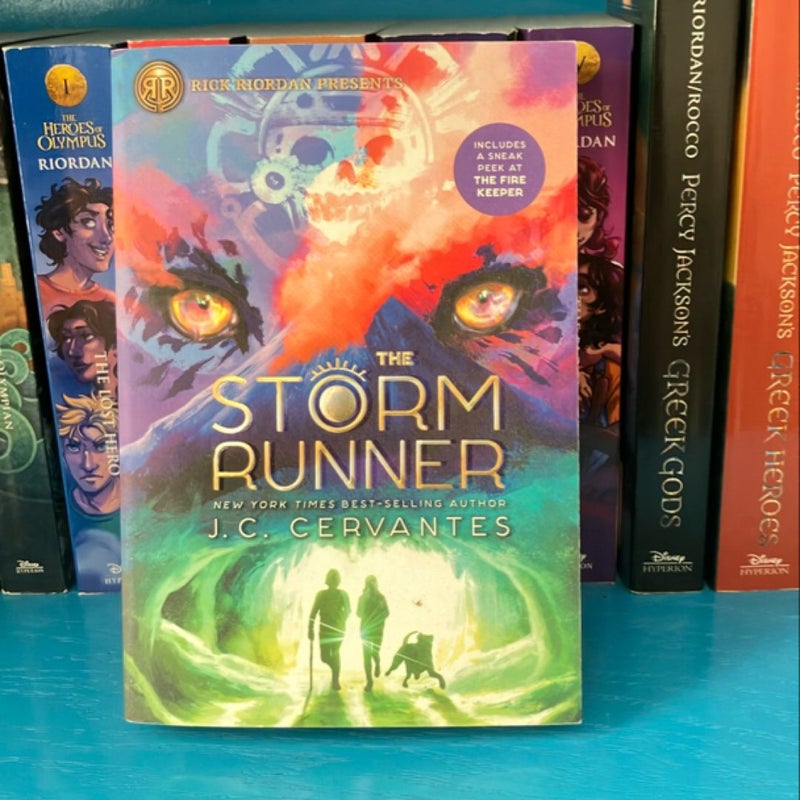 The Storm Runner