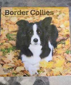 2024 Border Collies Calendar 