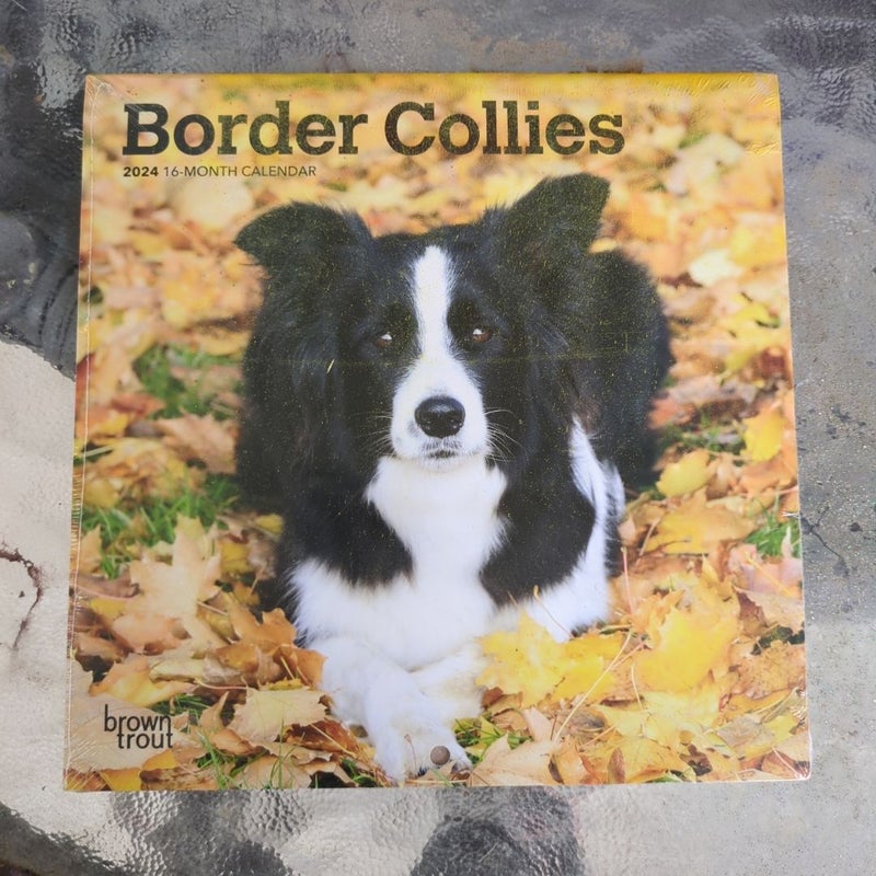 2024 Border Collies Calendar 