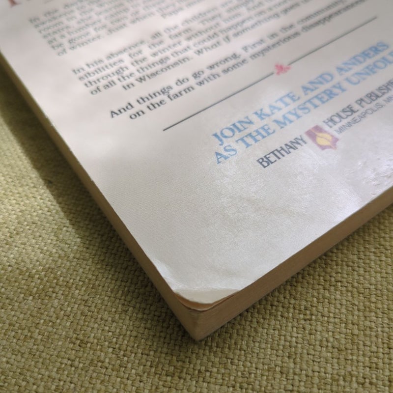 Adventures of the Northwoods Book 2: The Hidden Message