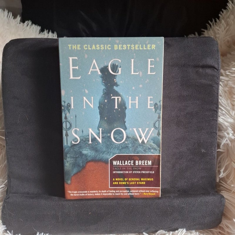 Eagle in the Snow