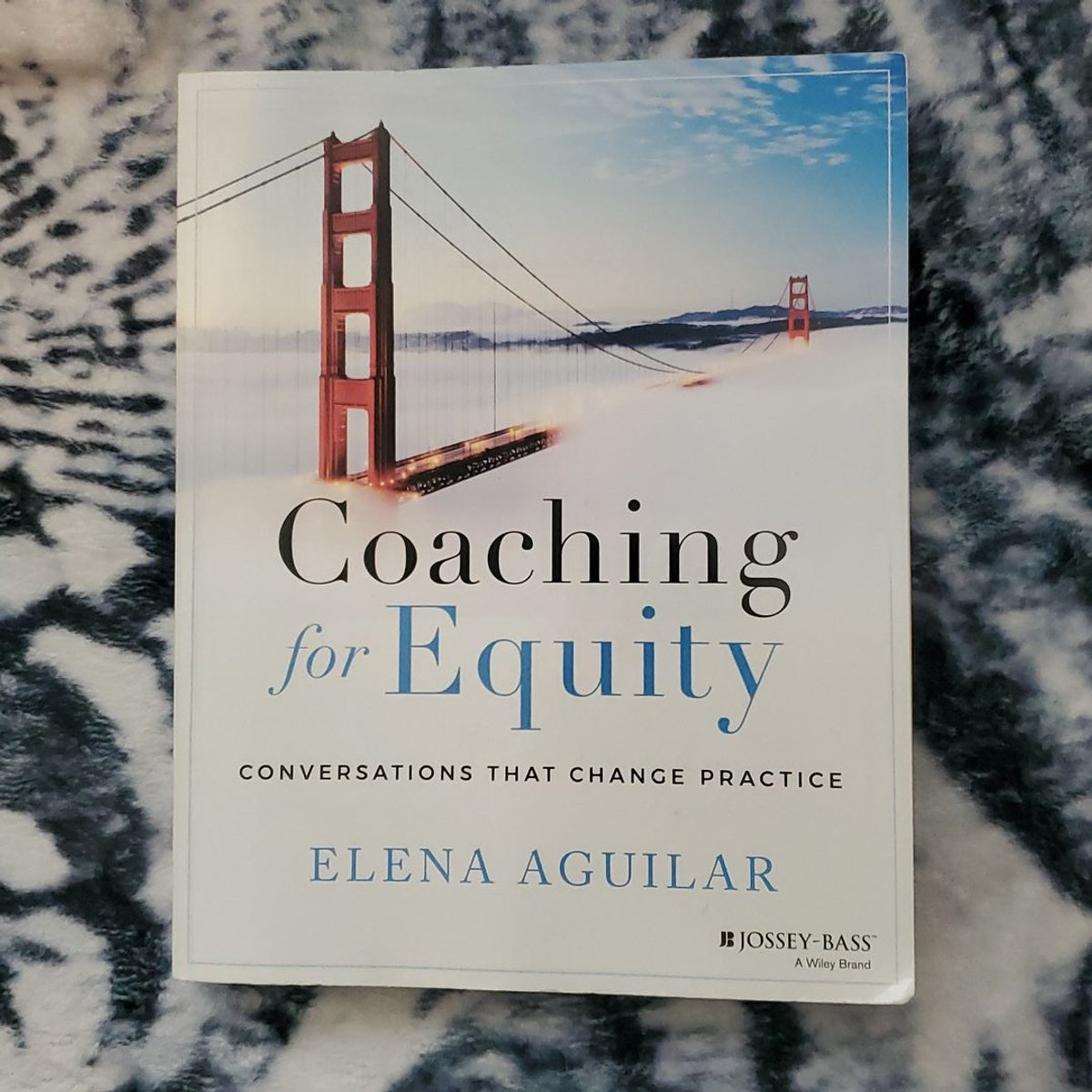 Coaching for Equity by Elena Aguilar