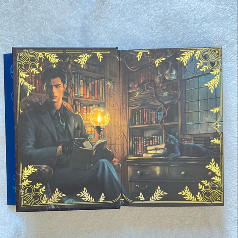 Fairyloot Romantasy Box The Wren in the Holly Library