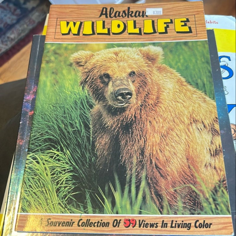 Alaskan wildlife