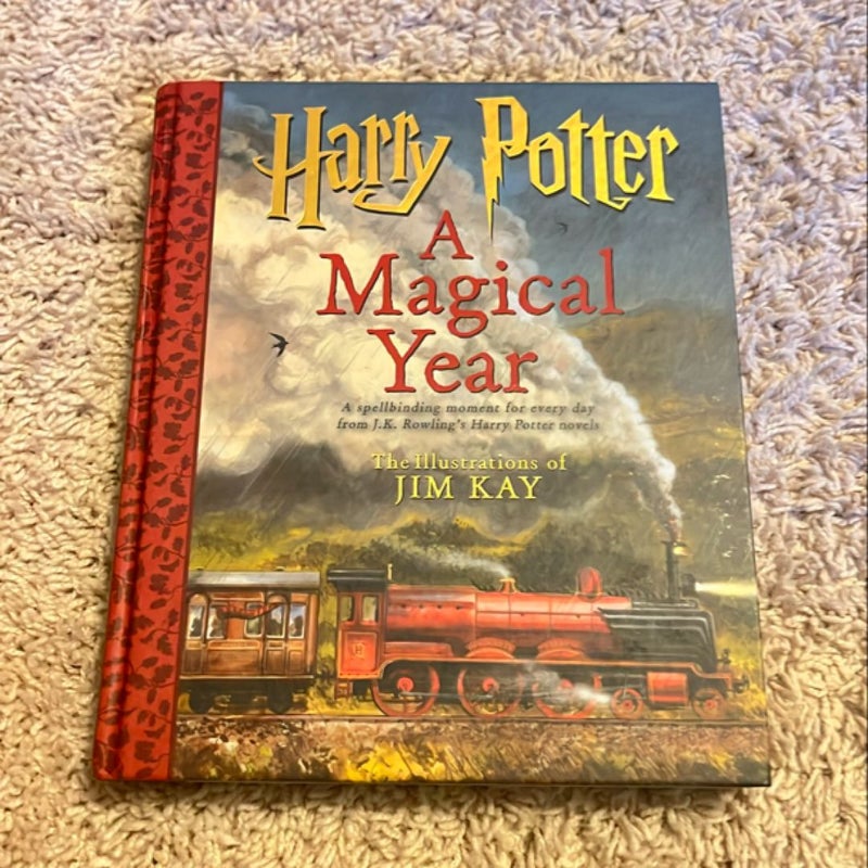 Harry Potter - A Magical Year