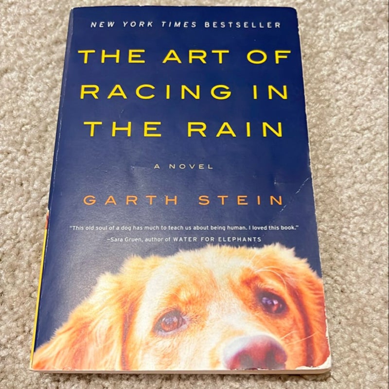 The Art of Racing in the Rain