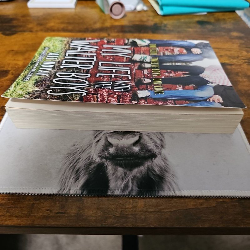 My Life with the Walter Boys