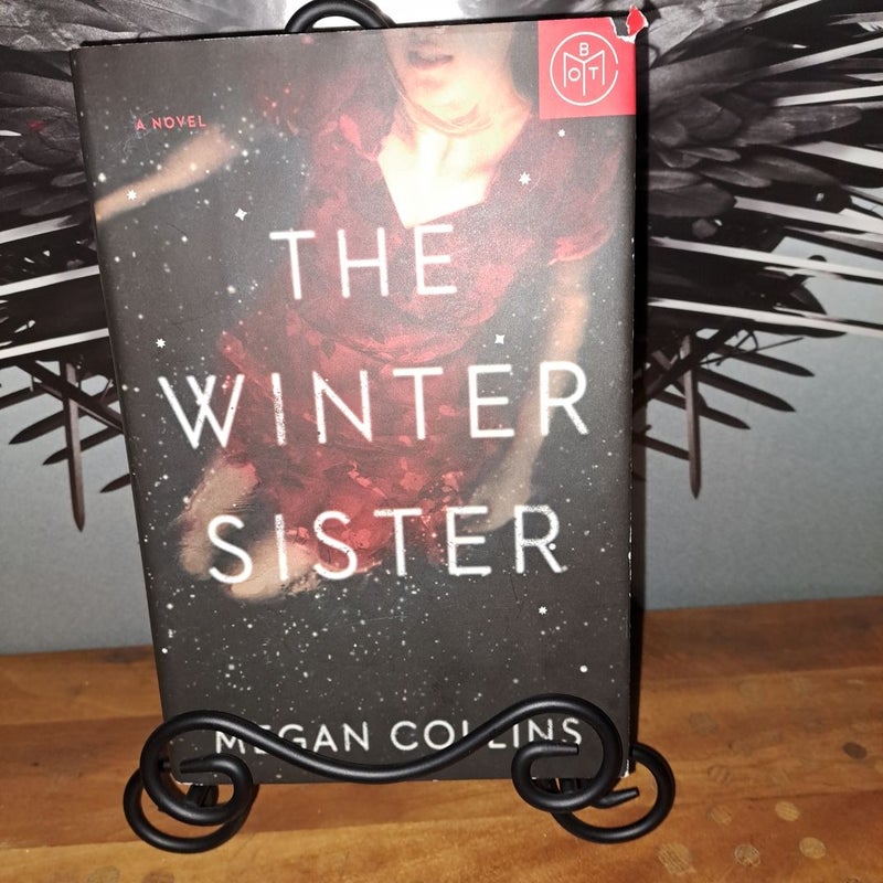 The Winter Sister