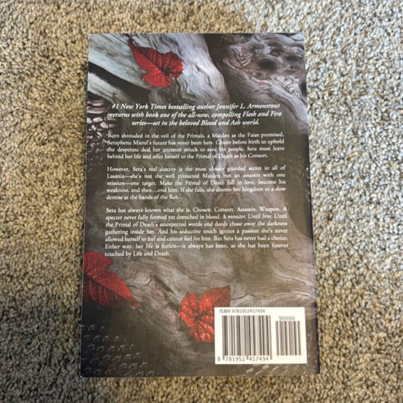 A Shadow in the Ember