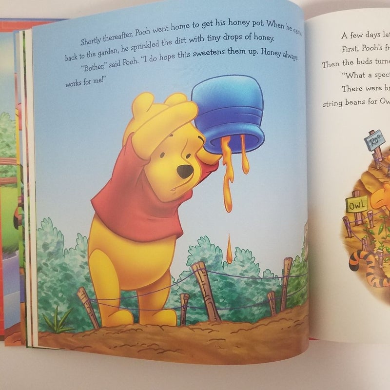 A Surprise Garden (Winnie the Pooh: It's Fun to Learn, book 1)