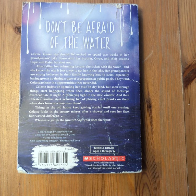 The Girl in the Lake