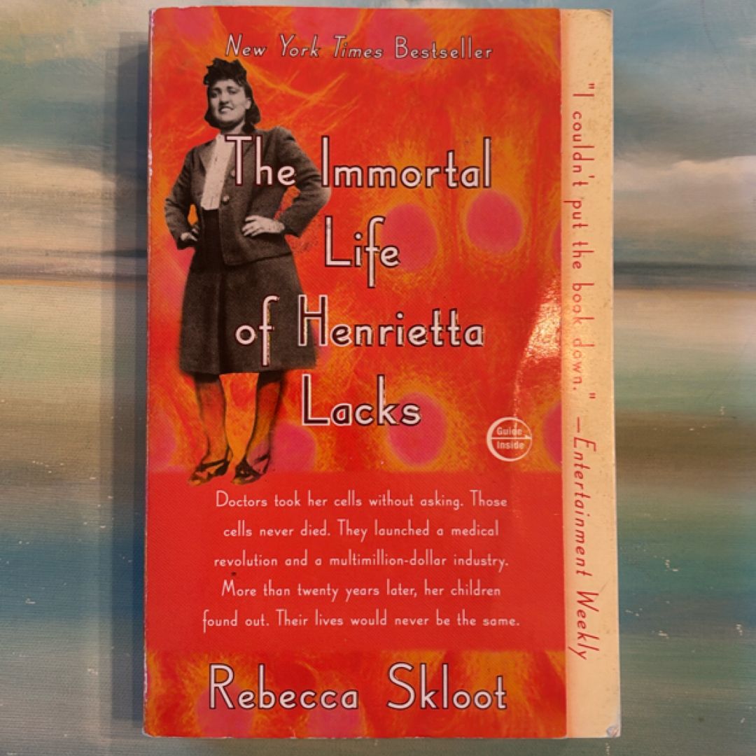 Sale image for f7cbd28f-91fb-4853-8640-c38c52209e9a-ZxCBQdD8KHQL40e3ghtaLvjREoG2