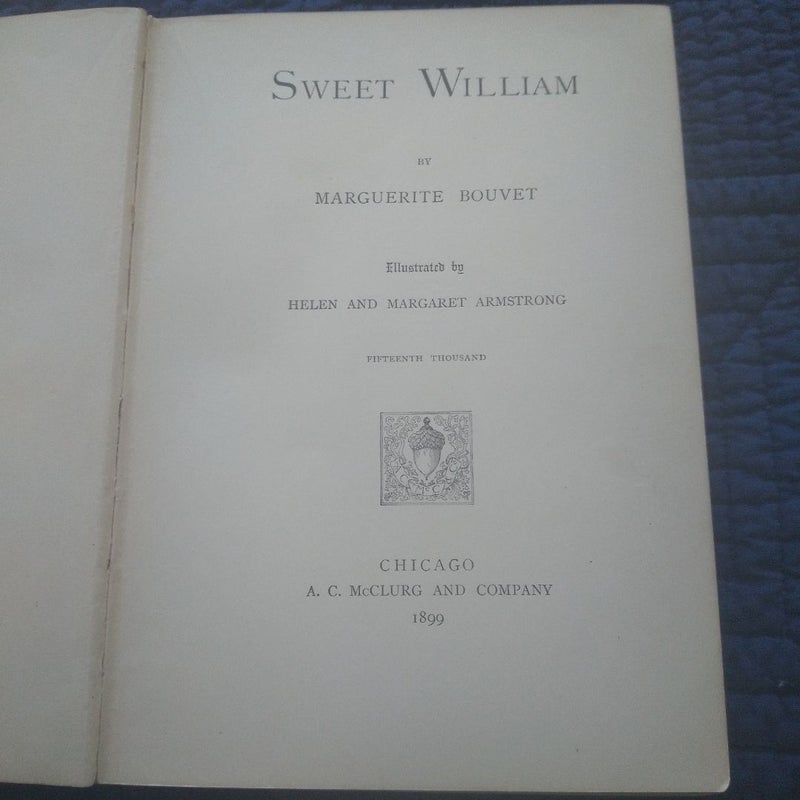 Sweet William