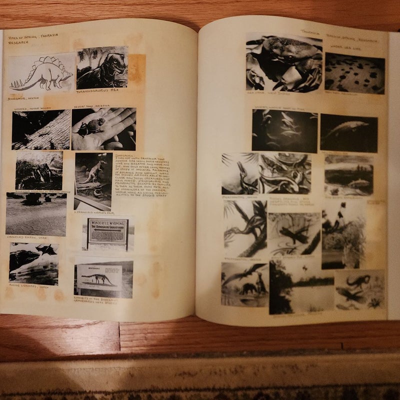 The Lost Notebook