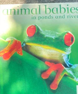 Animal Babies in Ponds and Rivers