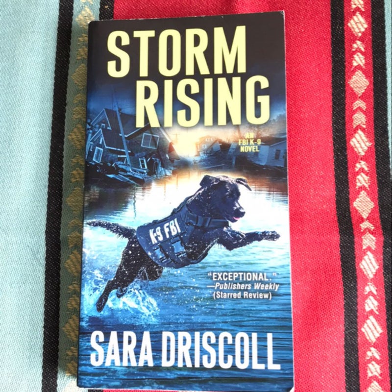 Storm Rising