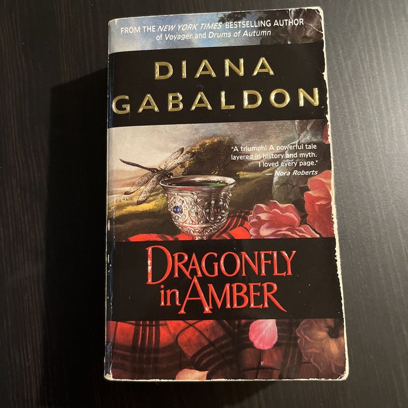 Dragonfly in amber