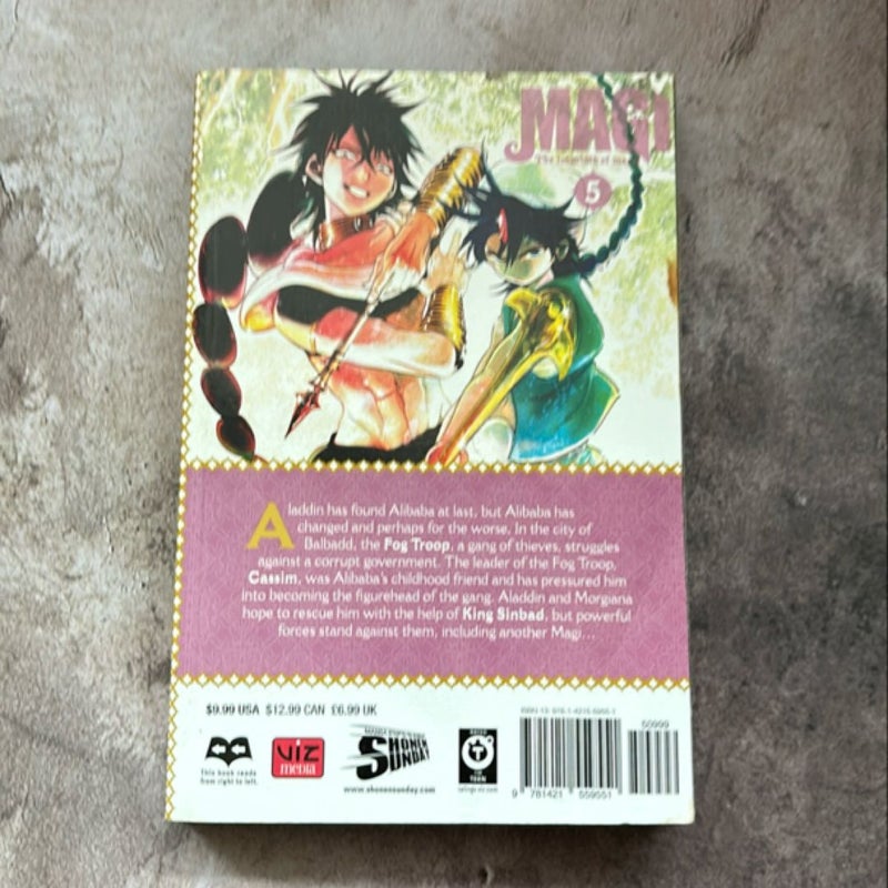 Magi: the Labyrinth of Magic, Vol. 5